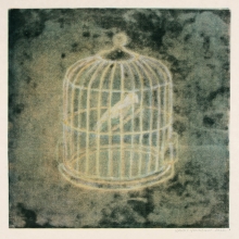 bird cage, II