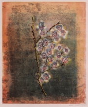 Family Twig I, 2015, monoprint, 12 x 10 inches